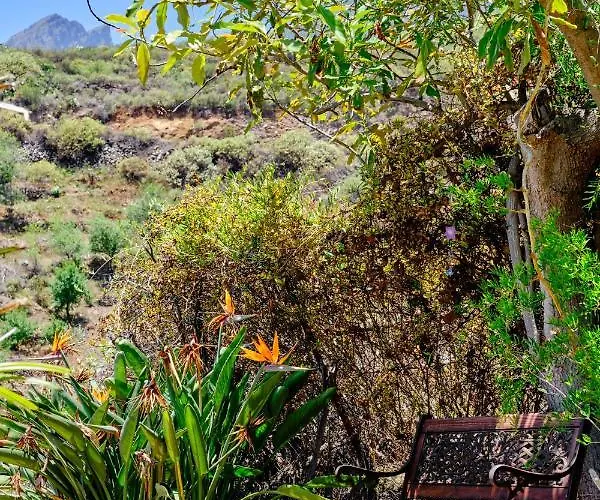 Hétvégi ház Tizziri Rural